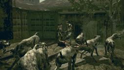 Resident Evil 5  gameplay screenshot