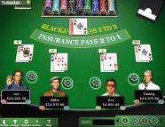 Hoyle Casino Games 2012  gameplay screenshot
