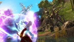 Guild Wars 2  gameplay screenshot