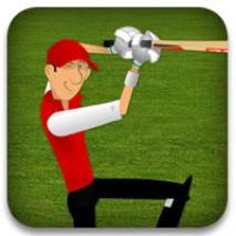 Stick Cricket Cover 