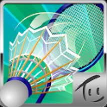 Badminton 3D Cover 