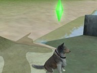 The Sims 2: Pets  gameplay screenshot
