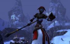 Guild Wars: Eye of the North  gameplay screenshot