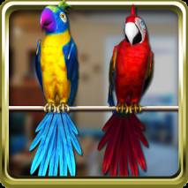 Talking Parrot Couple Free Cover 