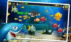 Hungry Shark 2  gameplay screenshot