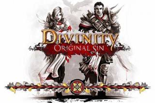 Divinity: Original sin Cover 