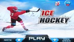 Ice Hockey 3D  gameplay screenshot