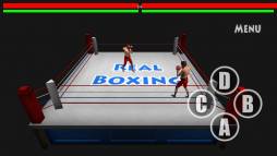 Boxing  gameplay screenshot
