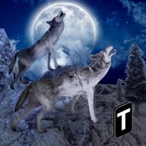 Angry Wolf Simulator 3D Cover 