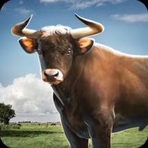Bull Simulator 3D Cover 