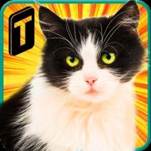 Street Cat Sim 2016 Cover 