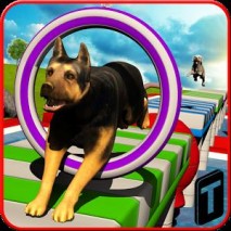 Stunt Dog Simulator 3D Cover 
