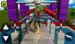Stunt Dog Simulator 3D  gameplay screenshot