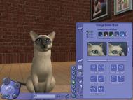 The Sims Pet Stories  gameplay screenshot