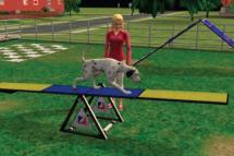 The Sims Pet Stories  gameplay screenshot