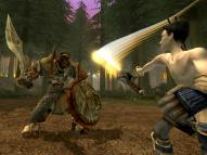 Fable: The Lost Chapters  gameplay screenshot