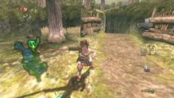 The Legend of Zelda: Twilight Princess  gameplay screenshot