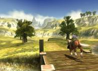 The Legend of Zelda: Twilight Princess  gameplay screenshot
