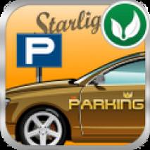 Parking King Cover 