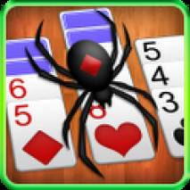 Spider Solitaire Cover 