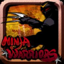 Ninja Warriors Cover 