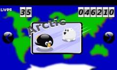 Animal Marble Challenge  gameplay screenshot