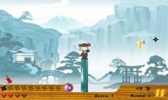 Ninja Camp  gameplay screenshot