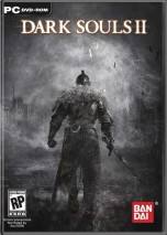 Dark Souls 2 poster 