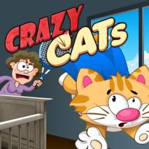 Crazy Cats Cover 