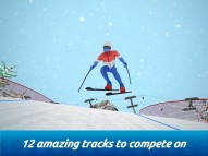 Top Ski Racing 2014  gameplay screenshot