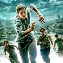 The Maze Runner dvd cover