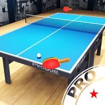 Pro Arena Table Tennis Cover 