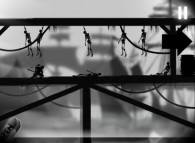 Dead Ninja Mortal Shadow  gameplay screenshot