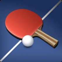 Table Tennis King Cover 