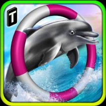 Dolphin Racing 3D Cover 