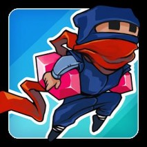 Rogue Ninja Cover 