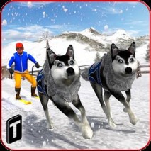 Sled Dog Racing 2017 dvd cover 