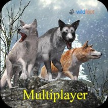 Wolf World Multiplayer dvd cover 