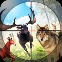 Safari Wild Animal Hunting 3D dvd cover 